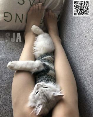 督军的替身丫鬟短剧免费观看_BD韩语高清完整版播放