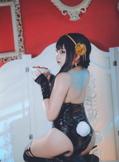 兔子先生免费全集在线观看_BD英语高清免费观看